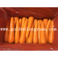 2016 New Crop Carrot De Shandong